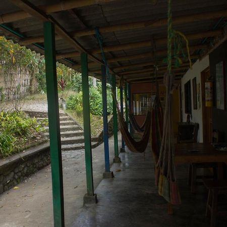 The Plantation House Travellers Hostel 萨兰托 外观 照片
