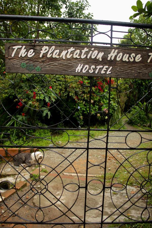 The Plantation House Travellers Hostel 萨兰托 外观 照片