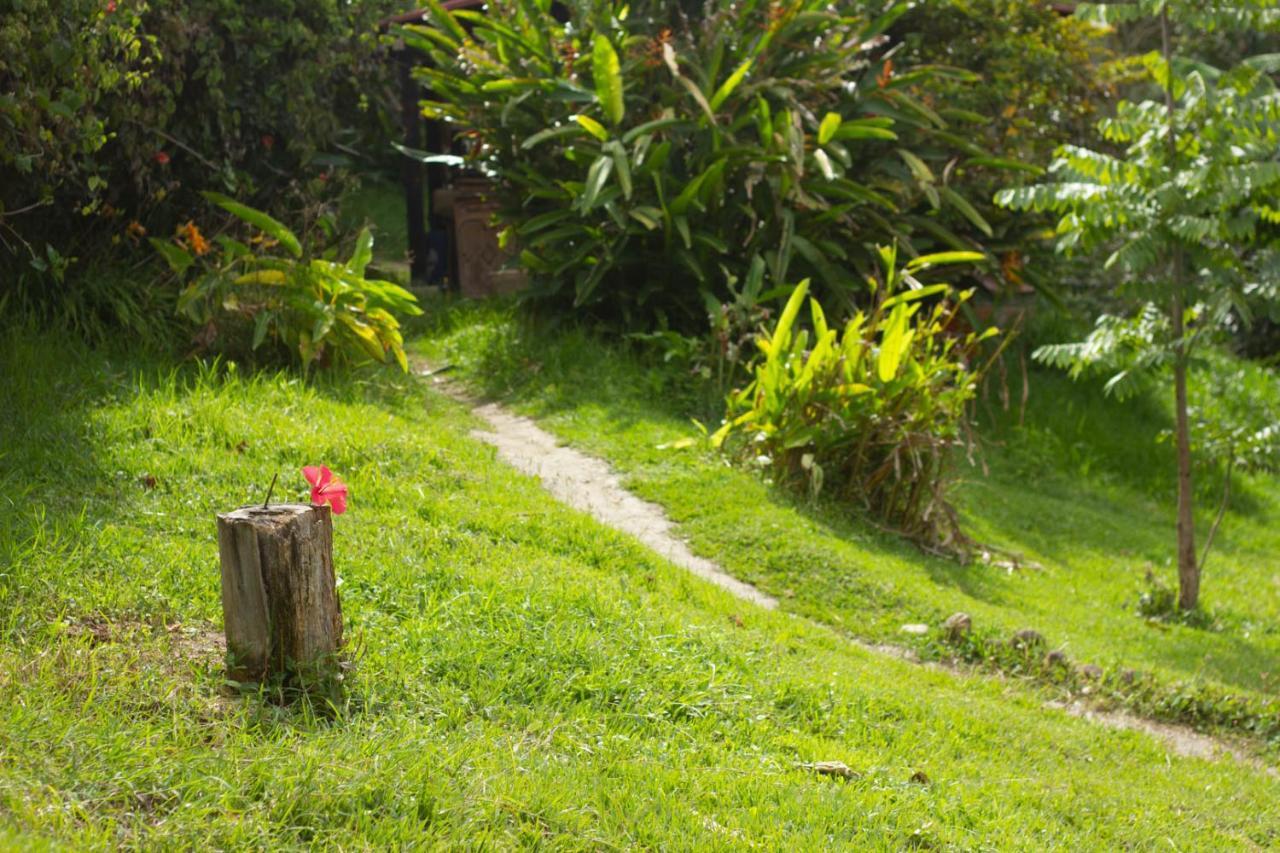 The Plantation House Travellers Hostel 萨兰托 外观 照片