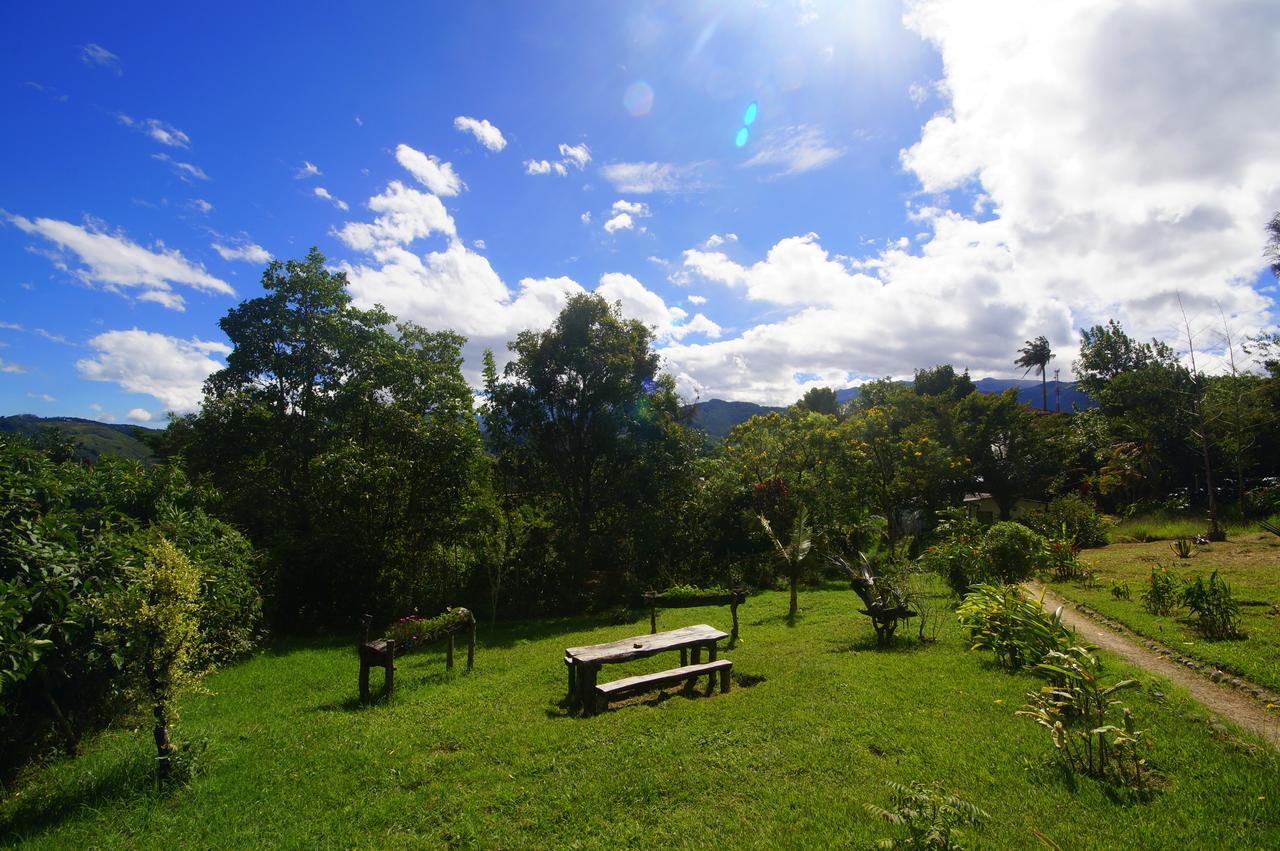 The Plantation House Travellers Hostel 萨兰托 外观 照片
