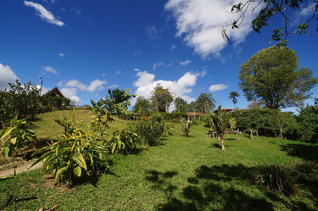 The Plantation House Travellers Hostel 萨兰托 外观 照片