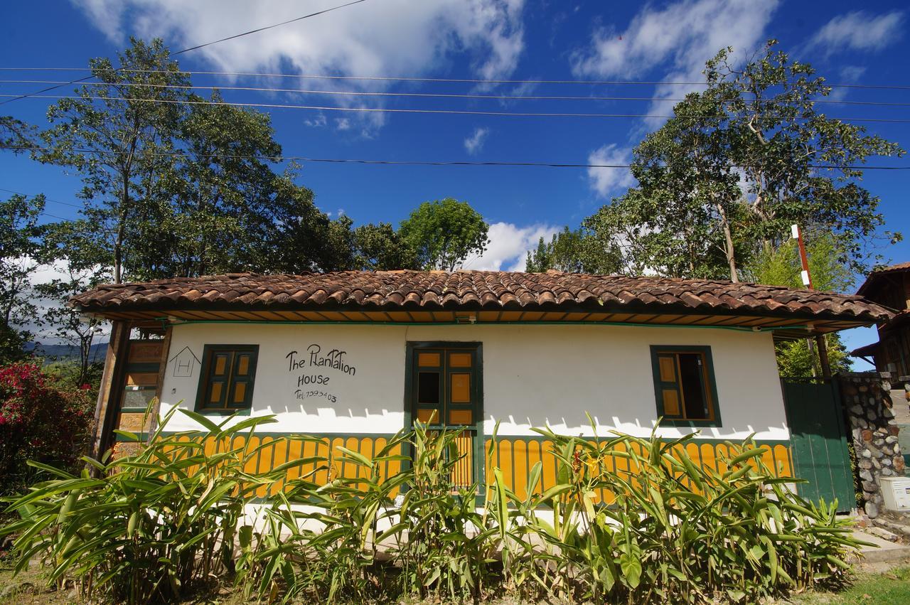The Plantation House Travellers Hostel 萨兰托 外观 照片