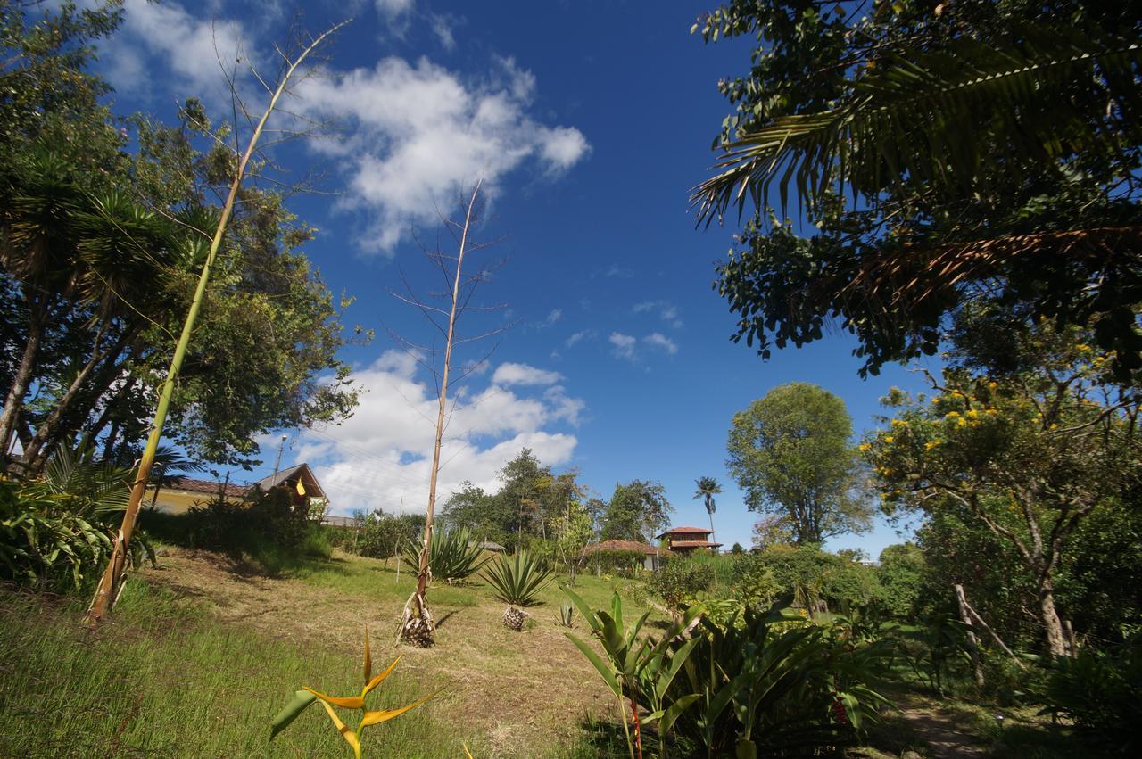 The Plantation House Travellers Hostel 萨兰托 外观 照片